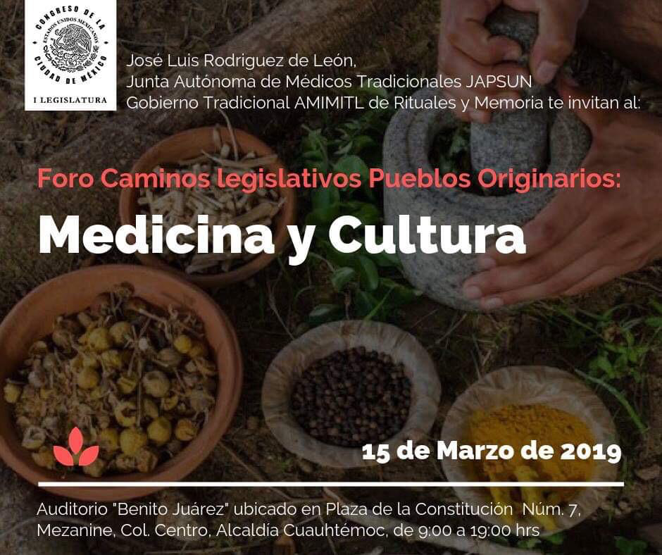 Foro Legislativo sobre Medicina y Cultura de los Pueblos Orginarios 3