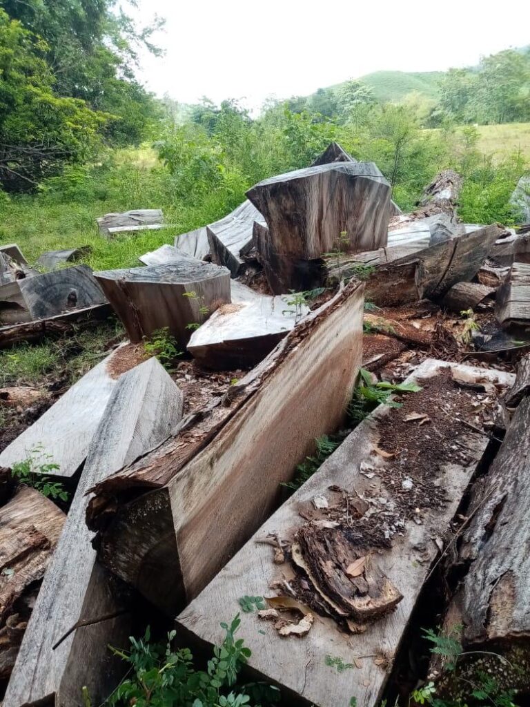 SAN JUAN HUIZONTLA: Campesinos mexicanos retoman sus tierras contra despojo gubernamental  5